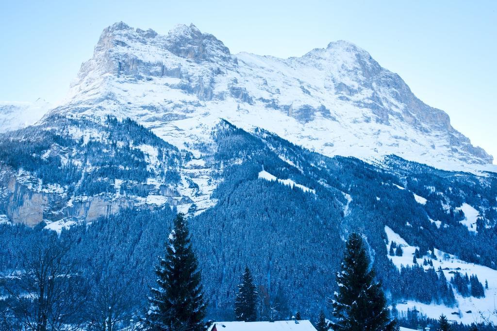 Bernerhof Residence Гріндельвальд Екстер'єр фото